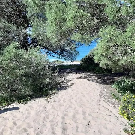 Ocean Waves Aroeira (Setubal)